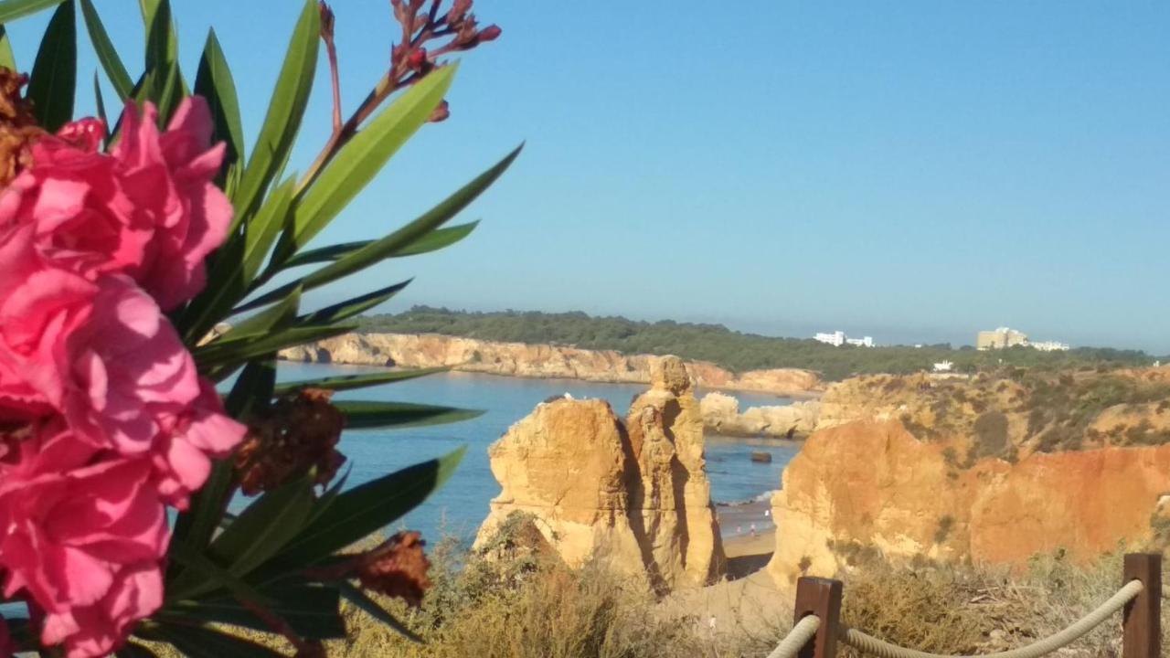 Albur Village B - Lotus Alvor Exterior photo